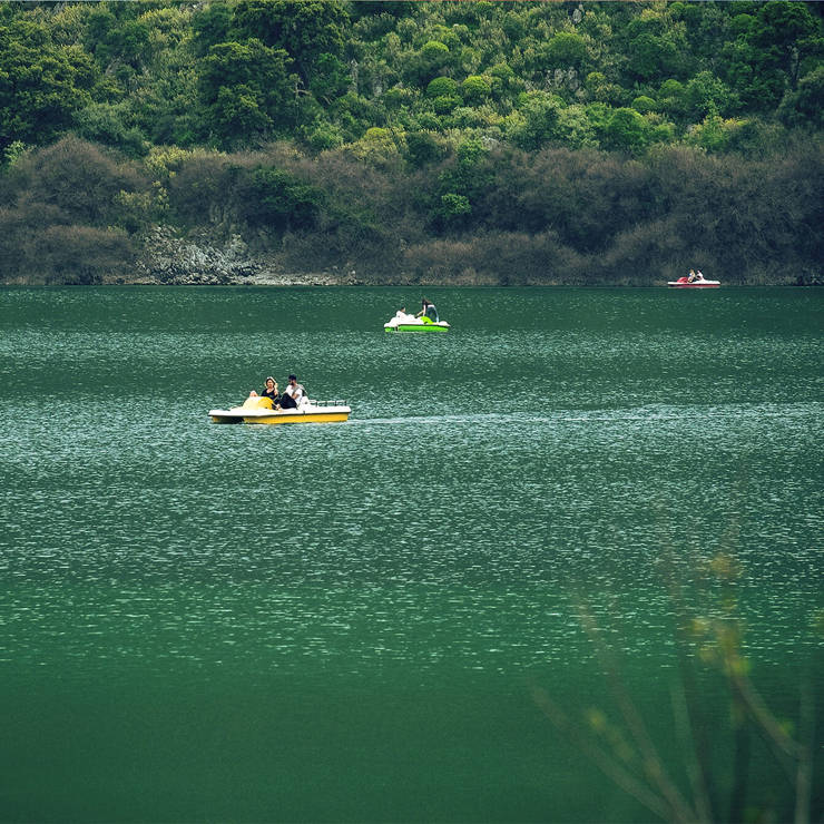 People enjoying paddle boats on a calm green lake surrounded by lush forest