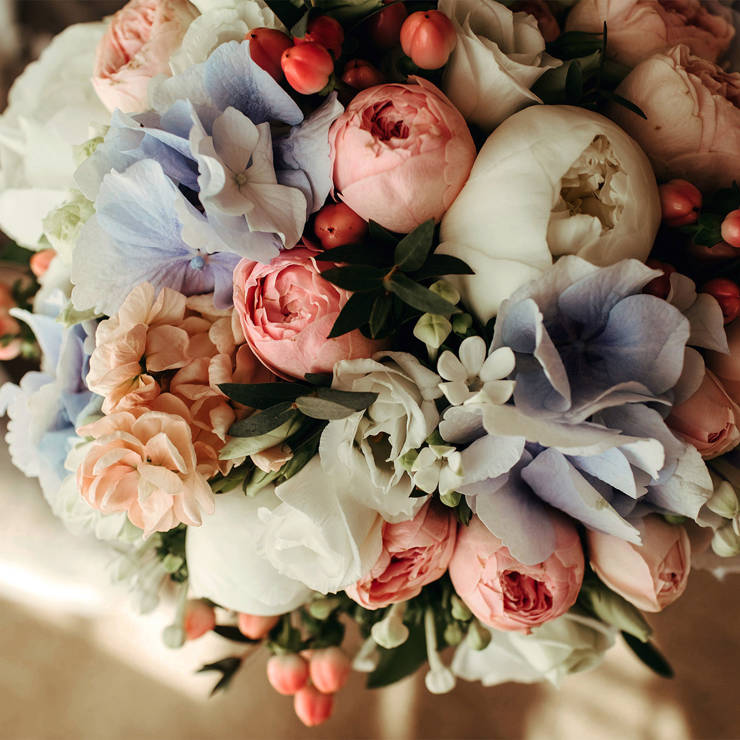 Elegant bouquet with pale blush peonies, white roses, blue hydrangeas, and pink hypericum berries